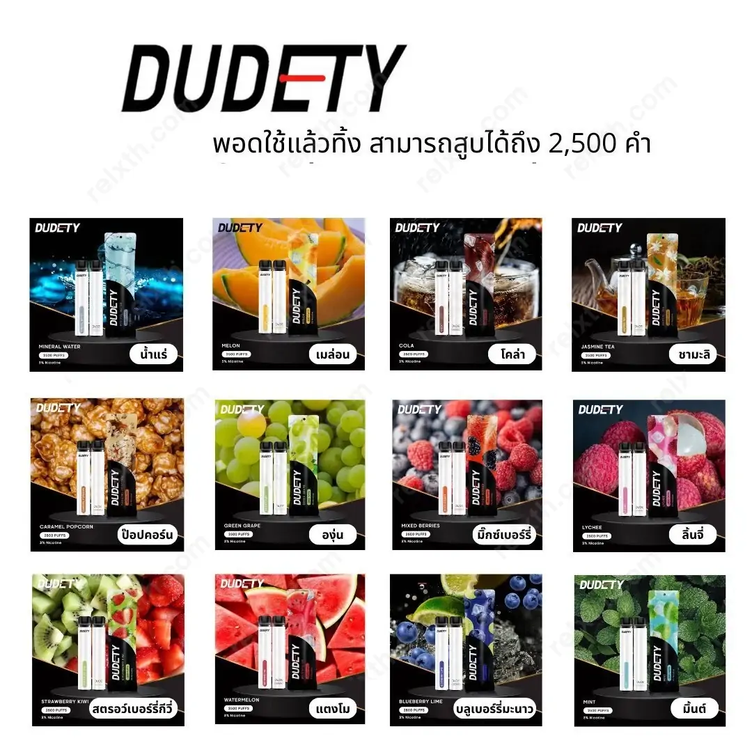 dudety 2500 puffs 1