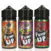 pump up100ml