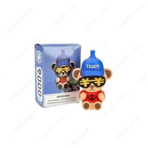 teddy disposable 9000puffs apple ice