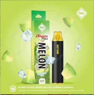 vmc disposable 5000 puffs melon